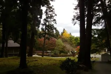 <p>Hiraizumi</p>