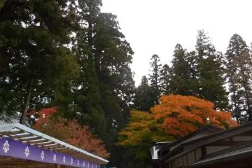 <p>Hiraizumi</p>
