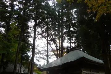 <p>Hiraizumi</p>
