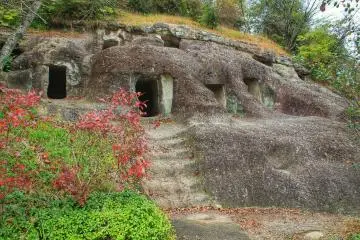 Gallery image