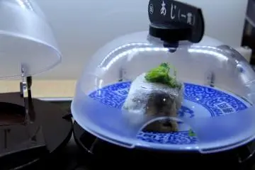 <p>Beberapa sushi menunggu untuk dipilih</p>