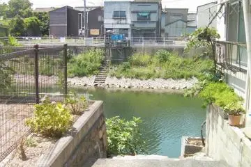 Down to the river