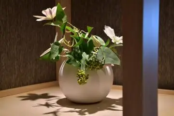 Beautiful flowers to please your eyes