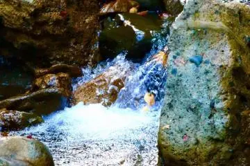 <p>Un zoom sur la clart&eacute; de la rivi&egrave;re</p>