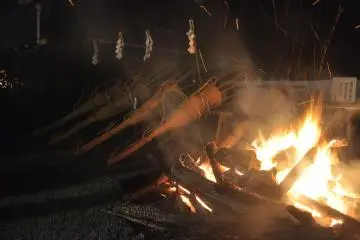 <p>Des torches de pin attendant d'&ecirc;tre transport&eacute;es</p>