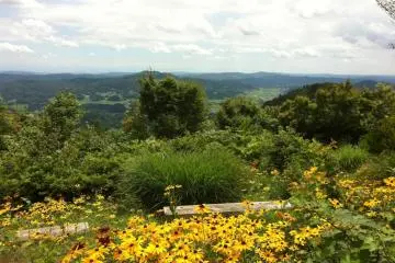 The colour of summer, looking out from Mt. Ohira