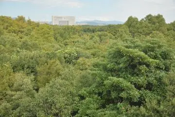 <p>On the wooden tower at the end of the promenade views of far-off sights are clear under good weather conditions</p>
