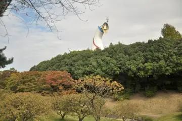 <p>The upper part of the sun tower sticks out from the woods</p>