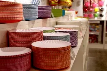 Disposable plates from plastic you can actually wash and don't have to throw away