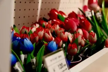 Wooden tulips that never wither