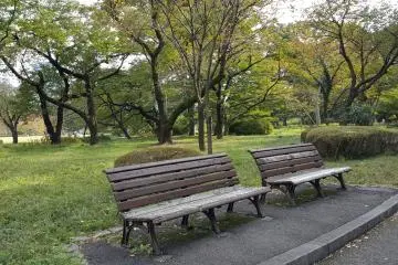 <p>풍경에&nbsp;녹아 있는&nbsp;해묵은 나무 벤치가 소리 없이 이리 오라 손짓하는 듯하다.&nbsp;</p>