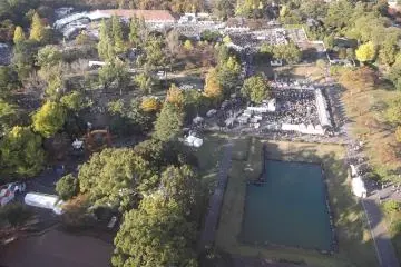 <p>The park site seen from above</p>