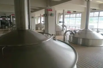 Inside the plant