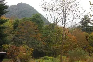 An inviting place to get lost in