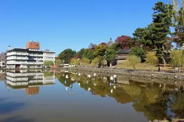 <p>The Sarusawa Pond near the Visitor Center</p>