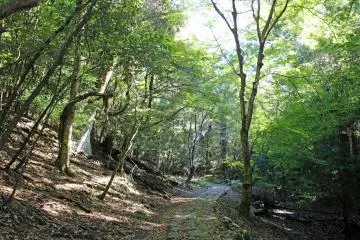 <p>The Yagyu Kaido/Takisaka no Michi. The rocks of the path could be quite slippery even when it wasn't raining</p>