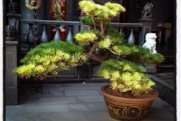 Sheng Tian Gong in Sakado, Saitama