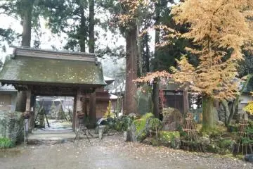 The last traces of autumn colors