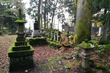 Unswept leaves and moss everywhere