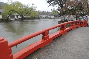 <p>Le jardin : magnifique malgr&eacute; la forte pluie !</p>