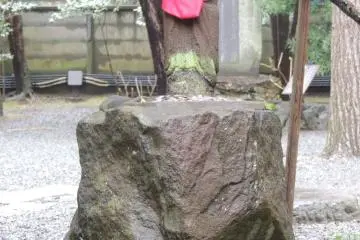 <p>Dans le jardin&nbsp;</p>