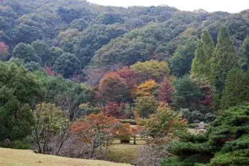 <p>From the top of the M&eacute;m&eacute; Makiba's sheep pasture</p>