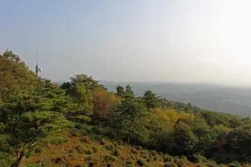 <p>Looking south</p>