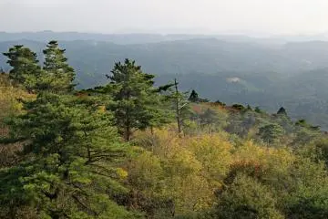 <p>Zoom</p>