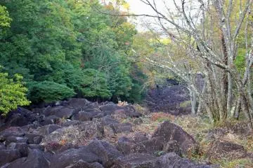 <p>Looking down the stone river</p>