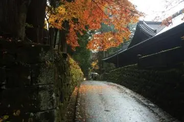 <p>Nikko is a great place to travel to in fall.</p>