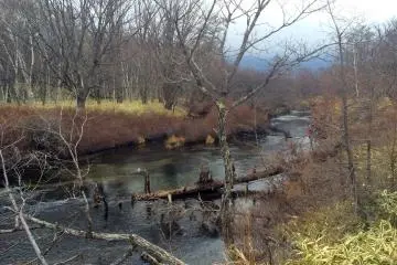 <p>Banyak sungai di sepanjang jalan</p>