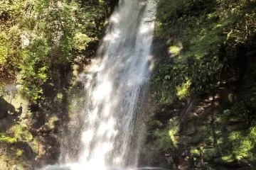 <p>In the summer, the waterfall is a great place to cool off.</p>