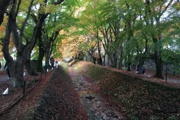 그러나 모두가 노란색이나 빨간색이 아니었다.