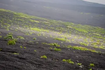<p>Volcanic landscape</p>