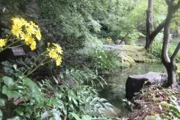 <p>Beautiful Grounds, Suntory Yamazaki</p>