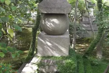 <p>One battle that nature is slowly winning</p>
