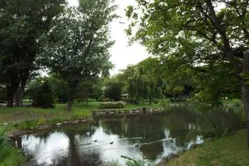 Nakajima Park