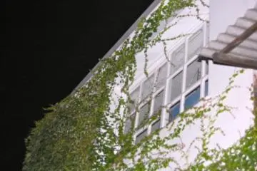 Great details