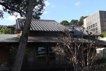 Gallery image