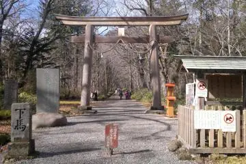 Gallery image