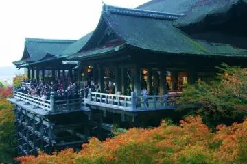 <p>บรรยากาศ ใบไม้ เปลี่ยนสีในฤดูใบไม้ร่วง</p>
