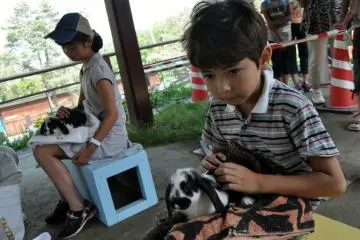 Rabbits are for petting