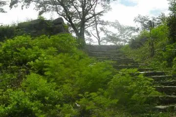 making it to the top