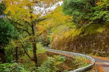 <p>The long and winding road</p>