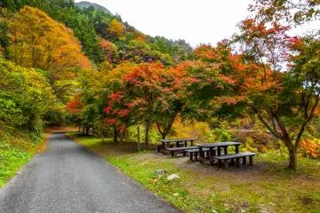 <p>Yasumi Dokoro, a rest area towards the latter part of the hike</p>
