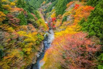Okutama’s Suspension Bridges