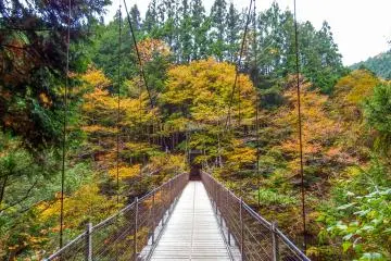 <p>Similarly, this bridge also spans over 30 meters in height, providing an equally impressive if somewhat scary experience</p>