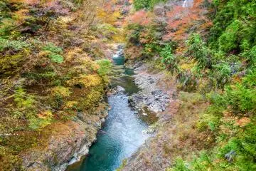 <p>Looking out eastwards along the Tama River</p>