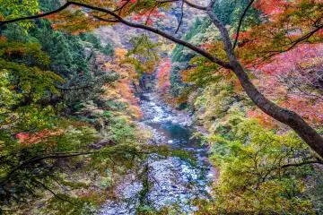 <p>One last look at the river below from outside the entrance of Dodokoro Bridge</p>