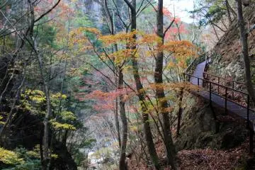 <p>The trail between Mitarai Falls and the Kanon Mountain Hiking Trailhead</p>